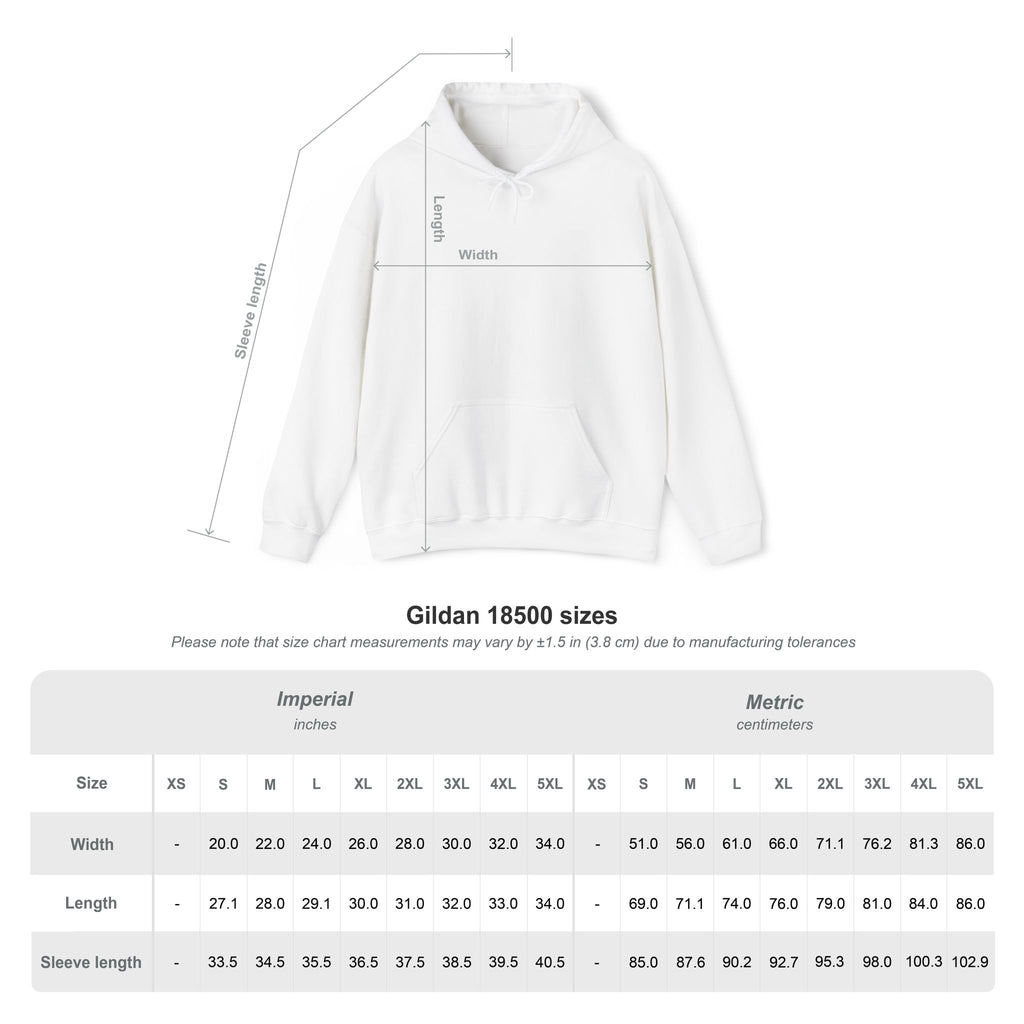 BTS World Tour 2026- Arirang Unisex Hoodie