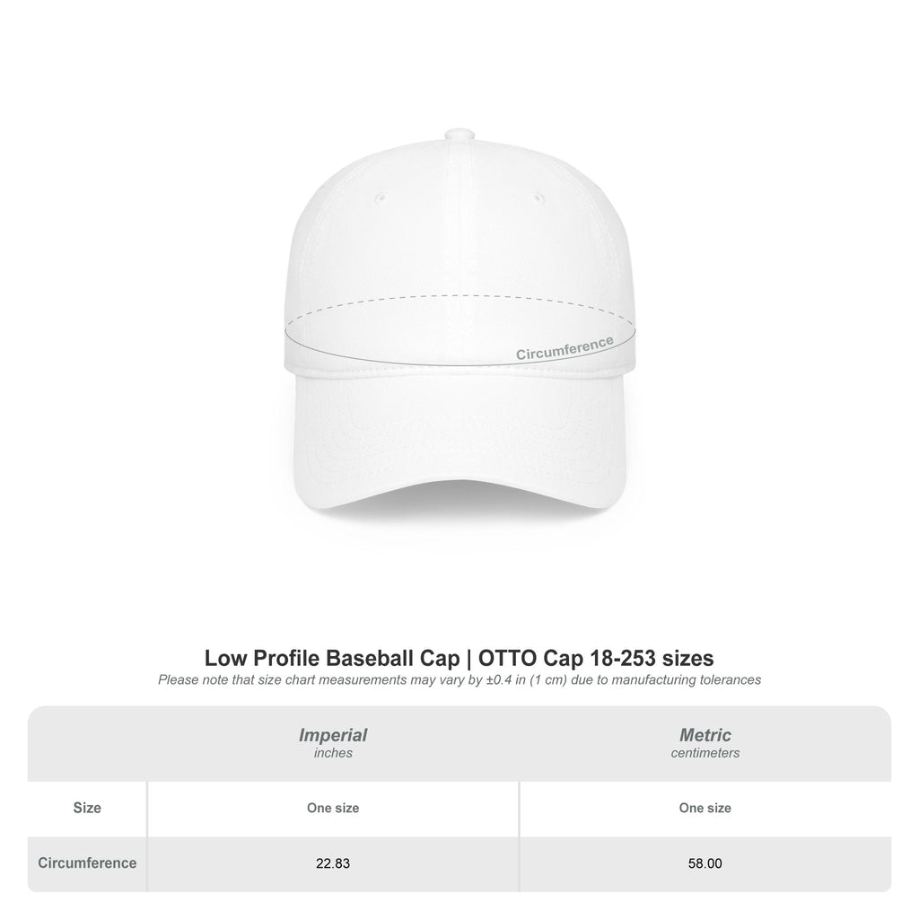 BTS Arirang baseball cap